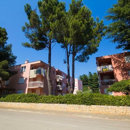 Roza Apartment Novigrad  Exterior photo
